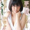 夢白書　黄金のまどろみ　伊唐みよ