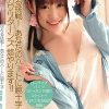 悠なる挑戦!　あなたのハートに腕十字　ハルカワリターンズ　悠やります!!　加藤悠