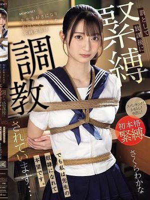 先生を好きになり告白してしまった不純な私は罰として放課後に緊縛調教されています…でも私は先生の奴●になれて本望です。 さくらわかな