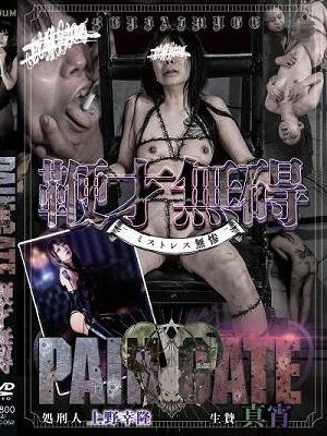 PAIN GATE 鞭才無碍