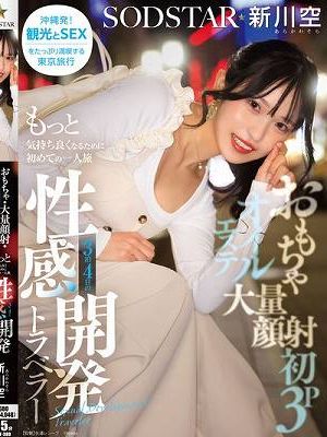 おもちゃ・大量顔射・初3P・オイルエステ もっと気持ち良くなるために初めての一人旅 3泊4日の性感開発トラベラー 新川空