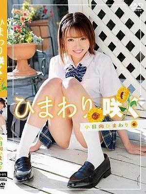 ひまわり咲く/小日向ひまわり