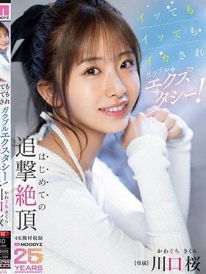 イッてもイッてもイカされガクブルエクスタシー！はじめての追撃絶頂 川口桜