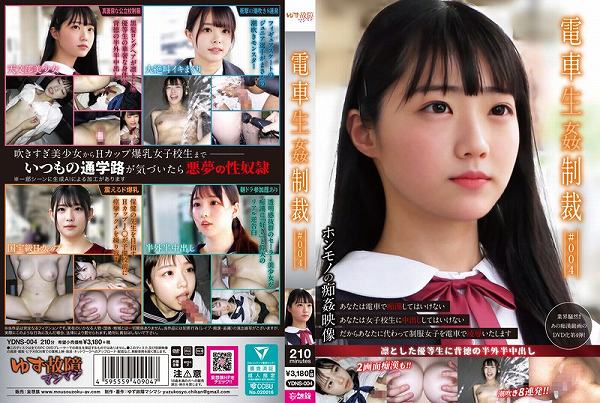 電車生姦制裁 #004 - 画像 (2)