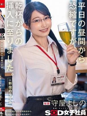 平日の昼間から恐縮ですが、乾杯からの挿入に至りました。in 新宿のラブホ 秘書 守屋よしの