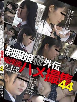 制服娘痴漢電車外伝 痴漢後生本番ハメ撮集44　