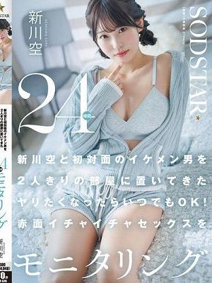 新川空と初対面のイケメン男を2人きりの部屋に置いてきた ヤリたくなったらいつでもOK！赤面イチャイチャセックスを24時間モニタリング 新川空　