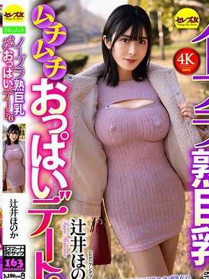 ノーブラ熟巨乳ムチムチおっぱいデート6 辻井ほのか　