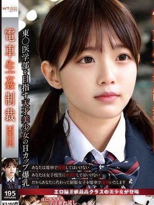 電車生姦制裁 ＃012　