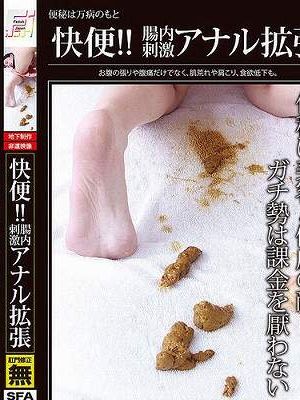 快便? 腸内刺激アナル拡張　