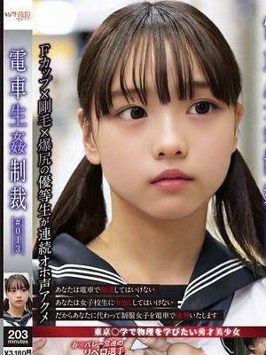 電車生姦制裁 #013